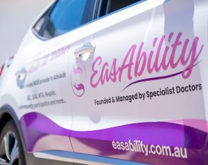 Easability Transport and Nursing Support